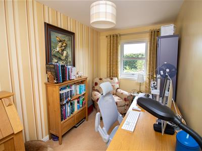 Picture 23